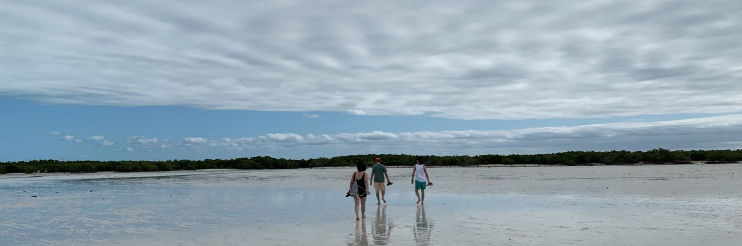 lpnor5's profile banner image