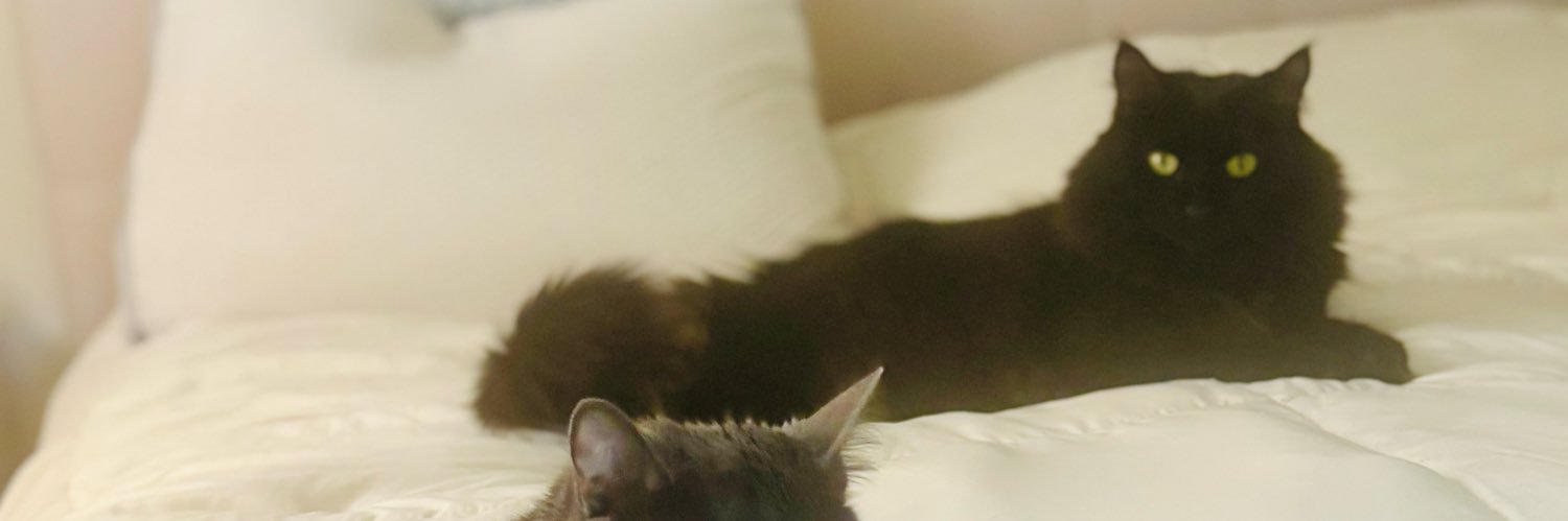 MoWik's profile banner image