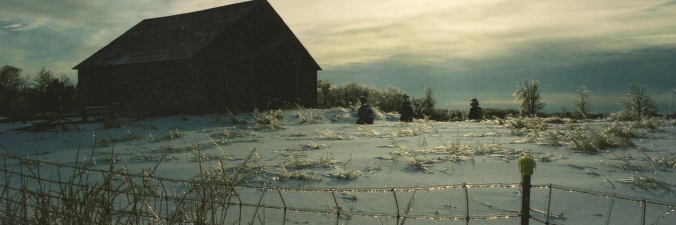TheOldBarnDoor's profile banner image