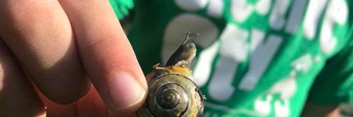 Creative City PCS banner