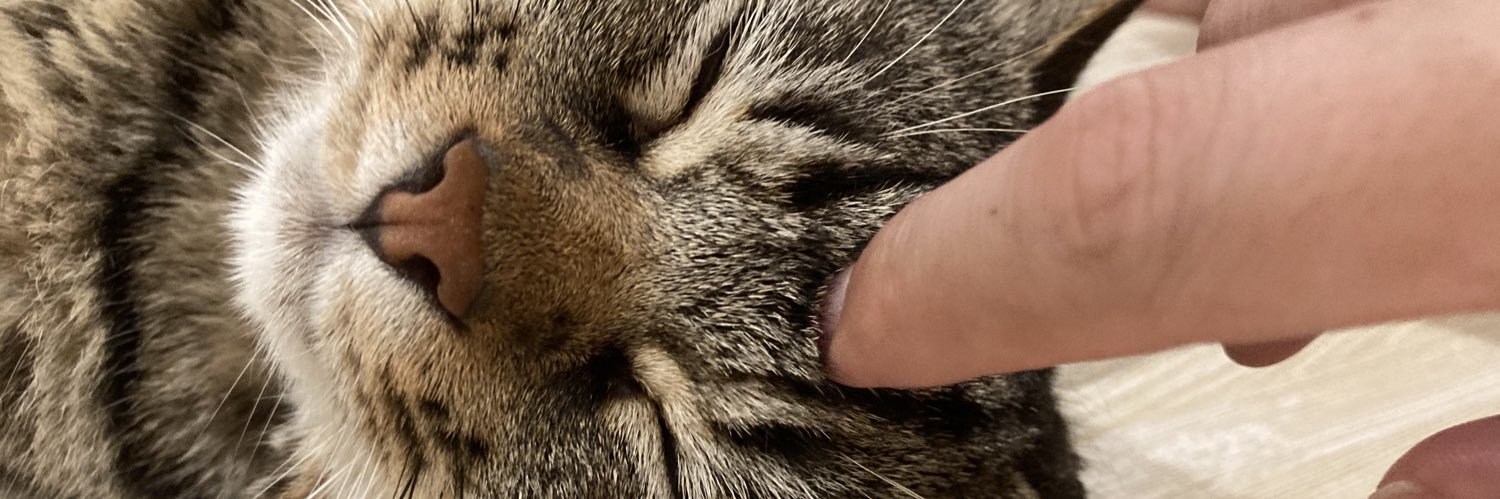 BbKykb's profile banner image