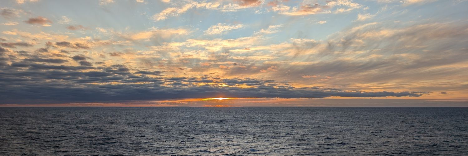 malardy's profile banner image