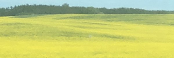 ChrisMcLean30 Profile Banner