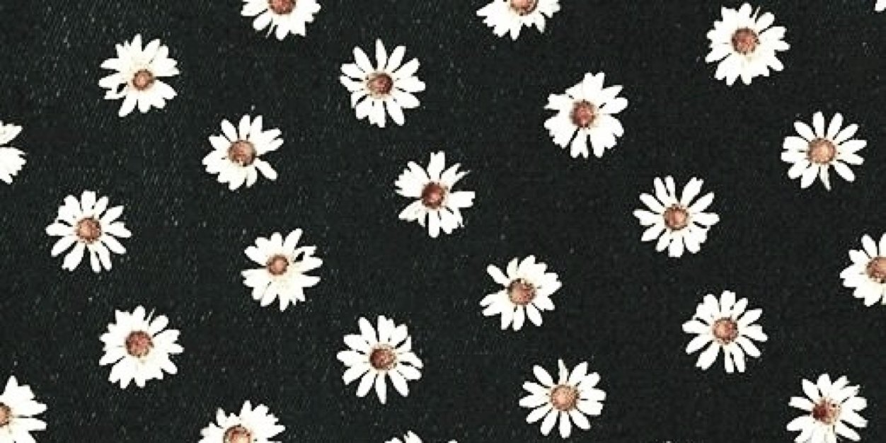 ClaireHNA's profile banner image
