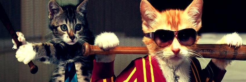 michael kaminsky banner