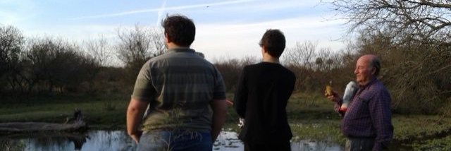Cuicodiz's profile banner image