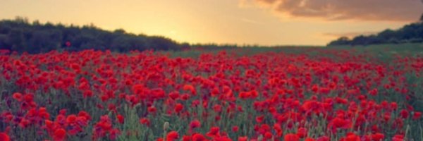 AndrewMoore001 Profile Banner