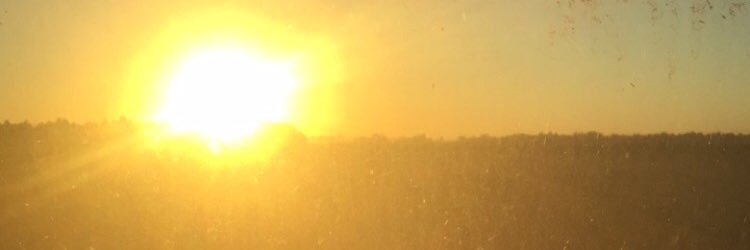 CrislerGarrett's profile banner image
