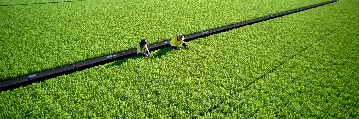 Forest Products Commission banner