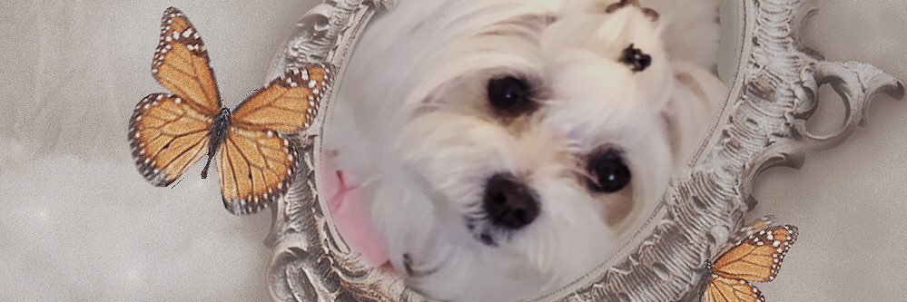 milkshakequeeen's profile banner image