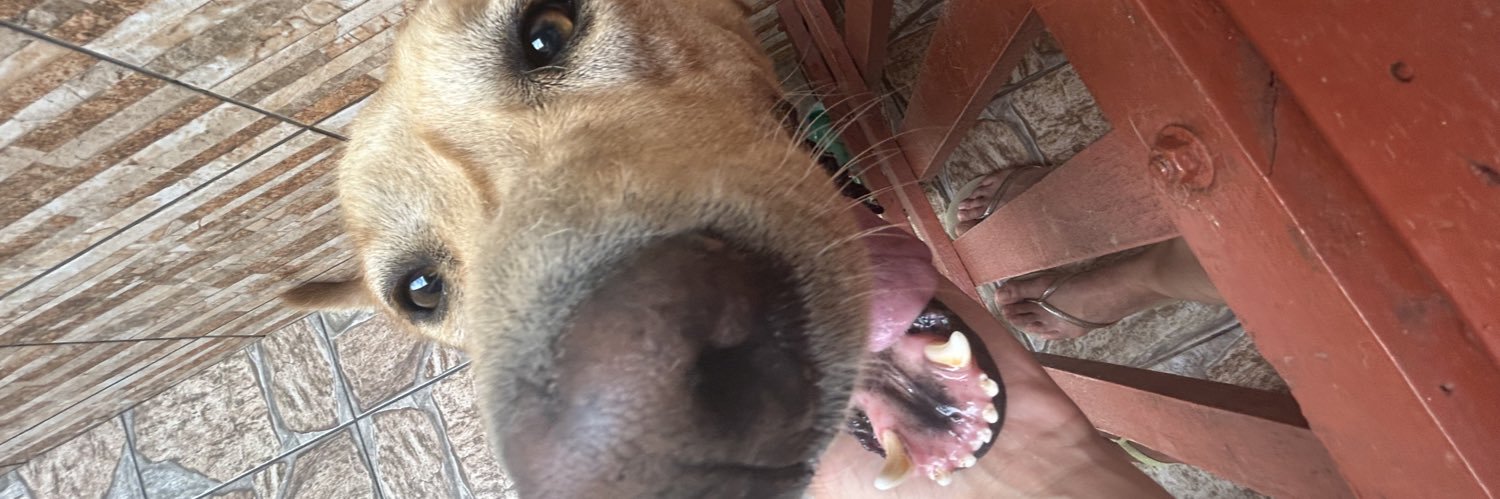 Teddy_please's profile banner image