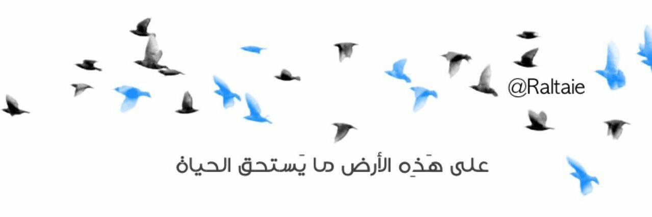 Raltaie's profile banner image