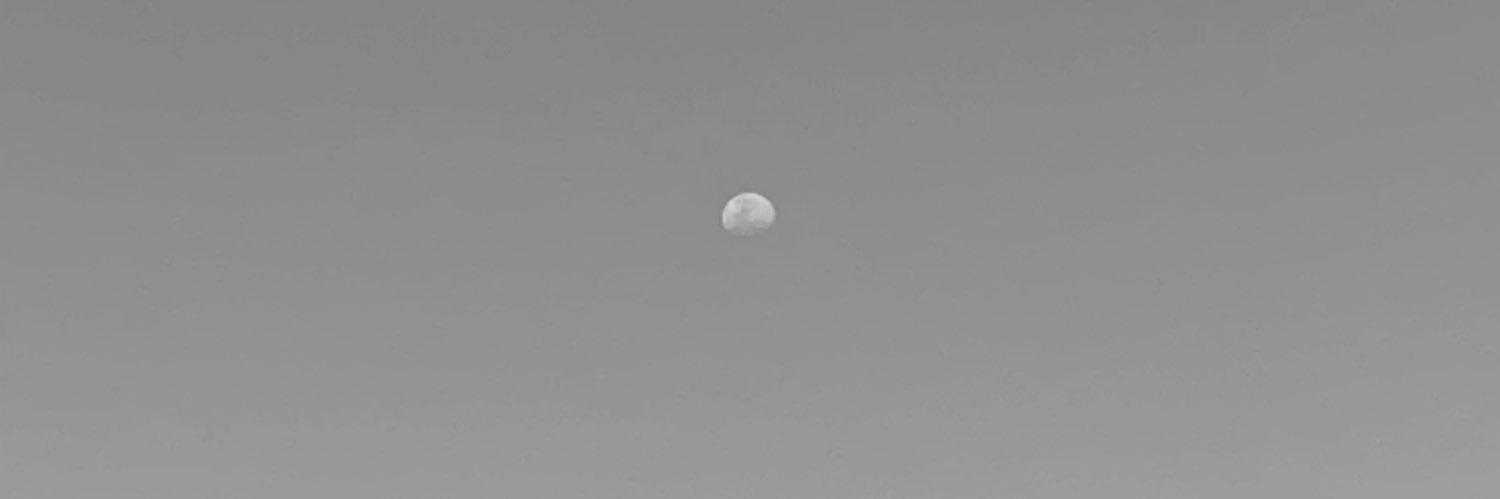 luisinamastran's profile banner image