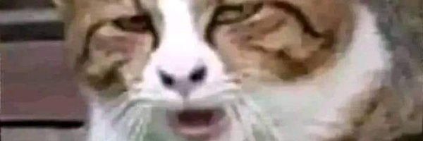 TCascagnette Profile Banner