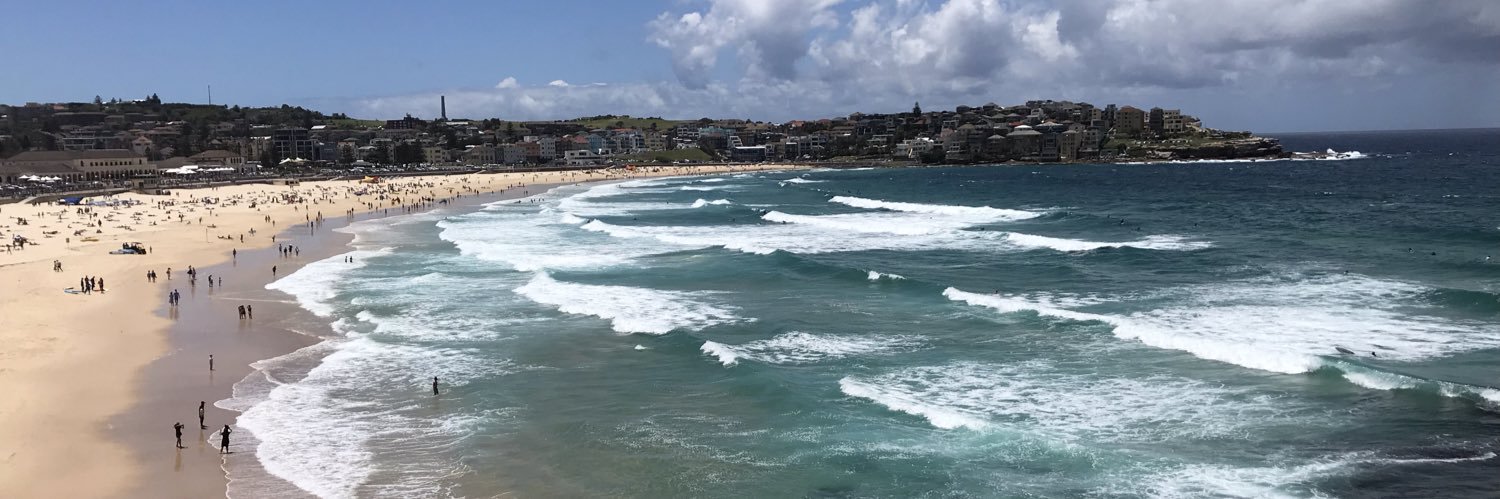 Daniela Hernandez banner