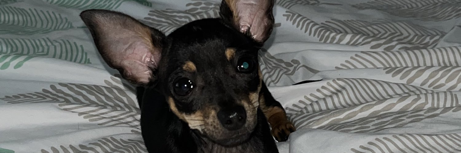 lexi_lou1998's profile banner image