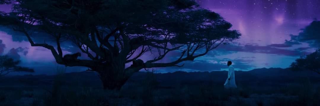 Coco2316r's profile banner image