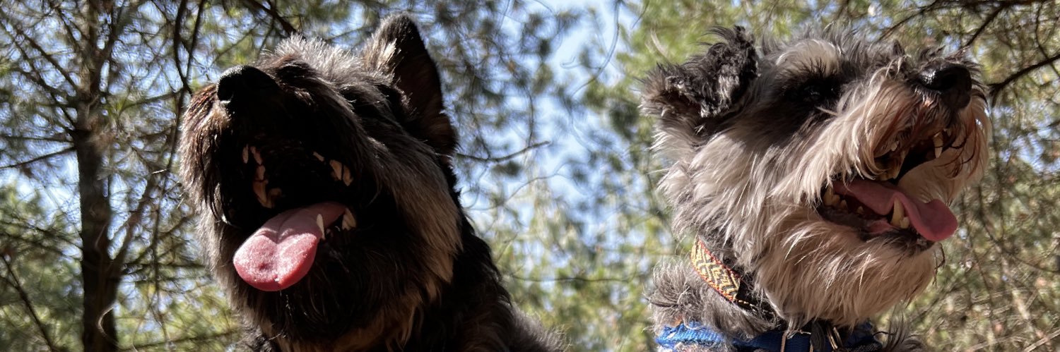 MarijoFrancoo's profile banner image