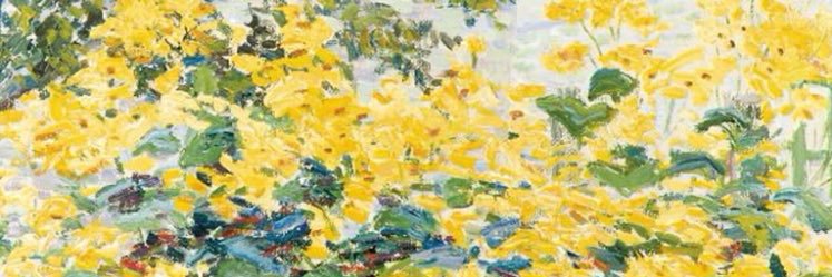 shewasyellow's profile banner image
