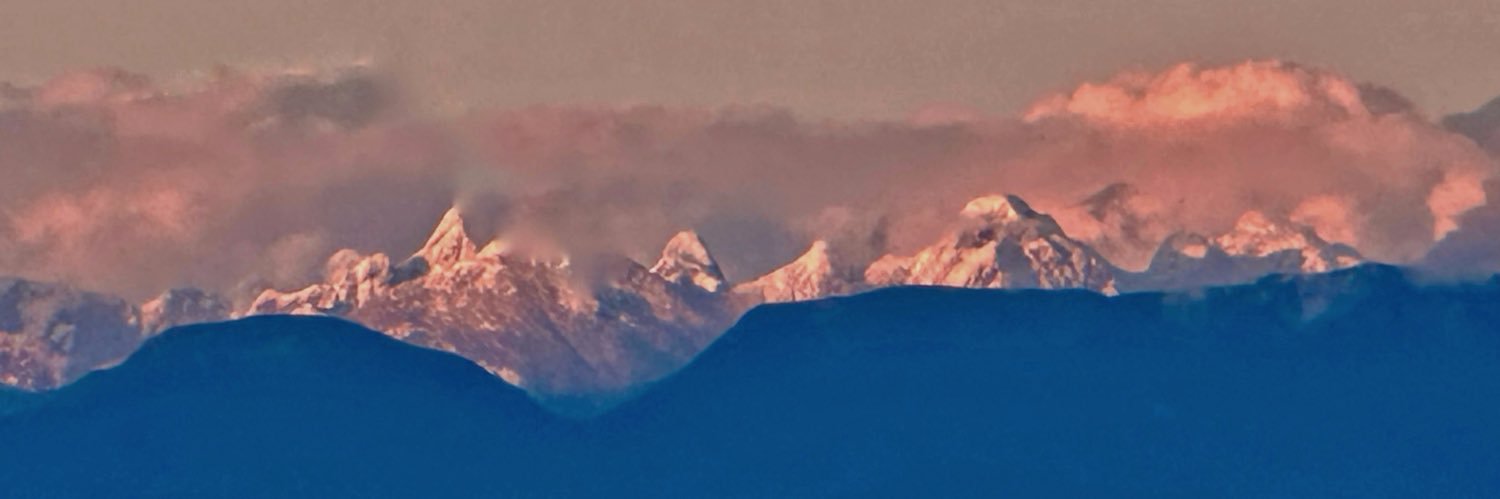 Mamma Bear🇨🇦 banner