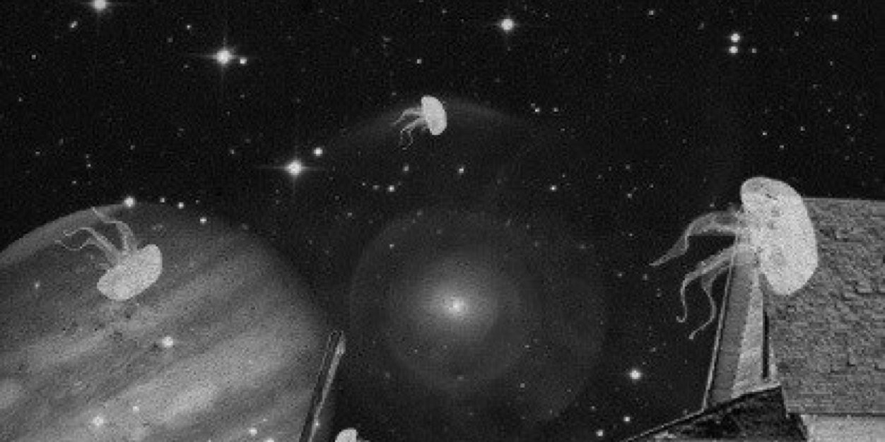 SociedadLoca's profile banner image