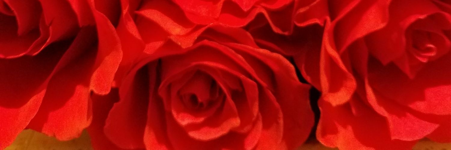 KarrieGrabinski's profile banner image