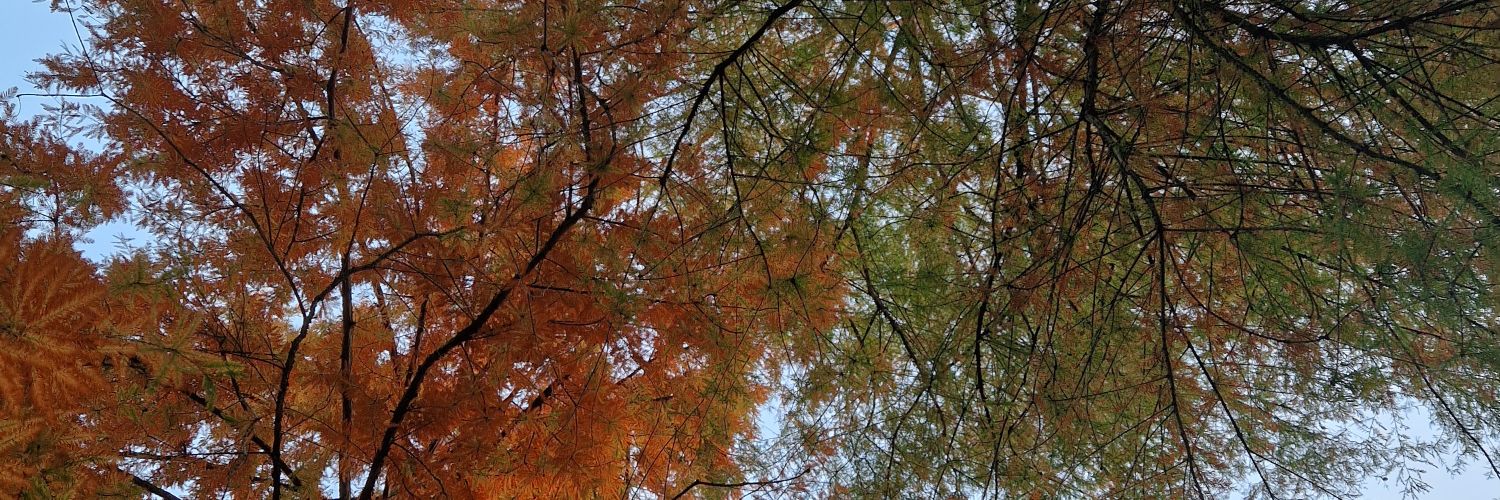 Preetha Joseph banner