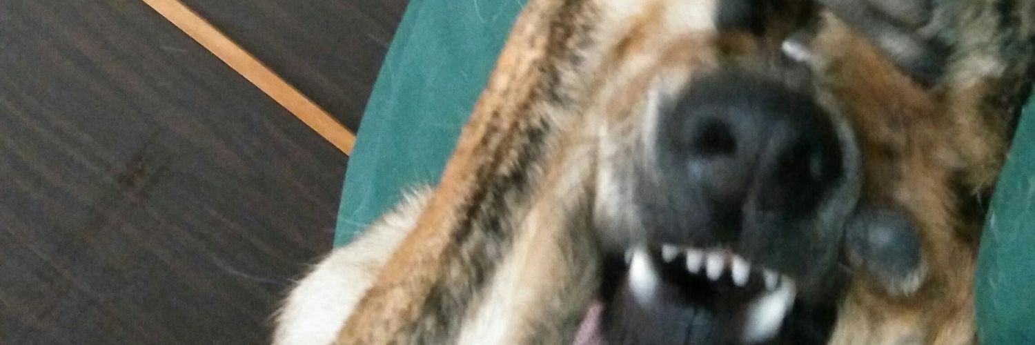 YoPancha's profile banner image