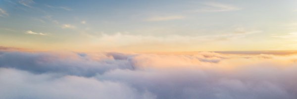 NIOGlobal Profile Banner