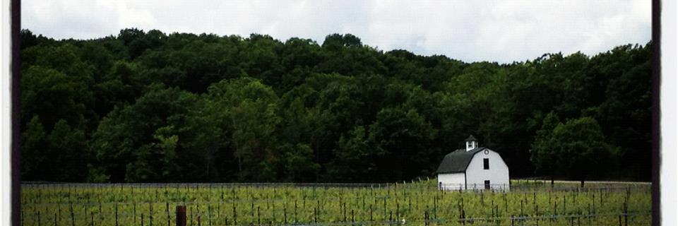 jentotten's profile banner image