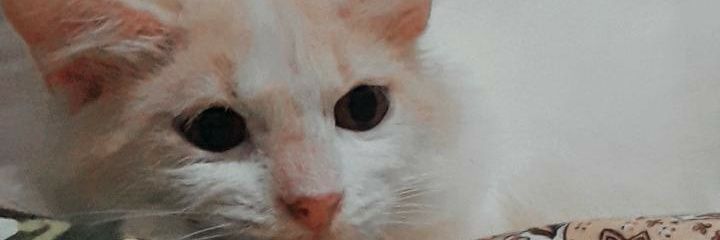 aidannns's profile banner image