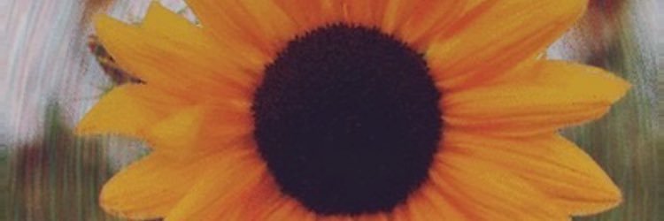 mfernandasi's profile banner image