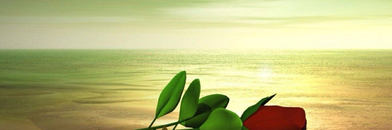 chudy2003's profile banner image
