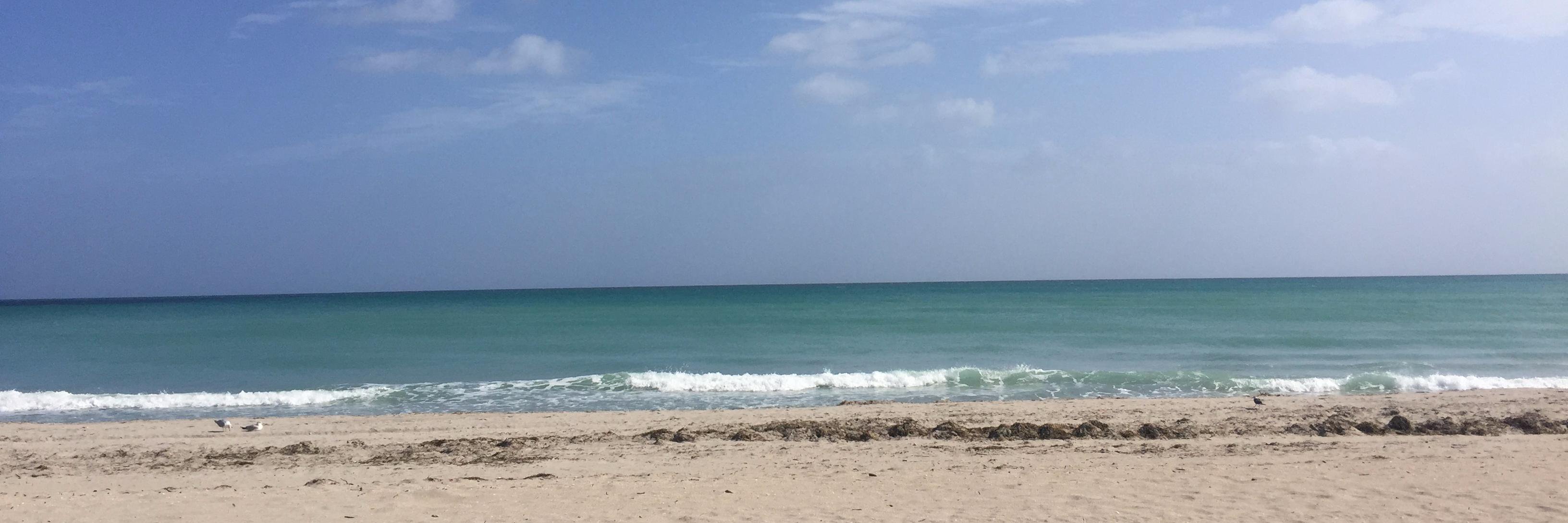 jaxbecks's profile banner image