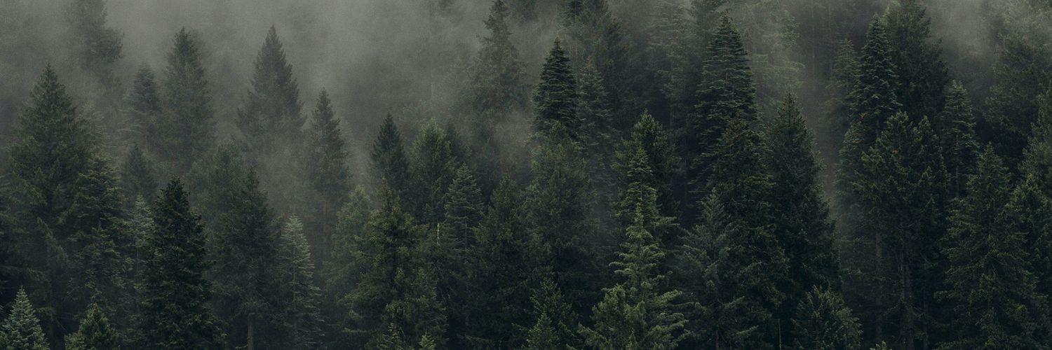 real_jonk's profile banner image