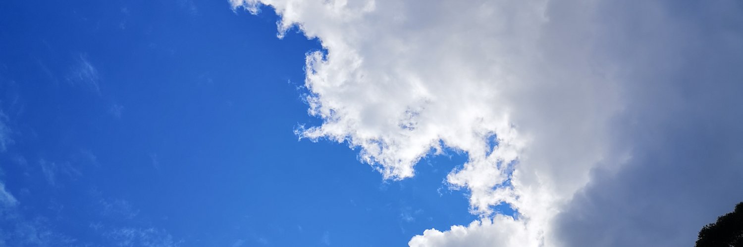 NigelAMills's profile banner image