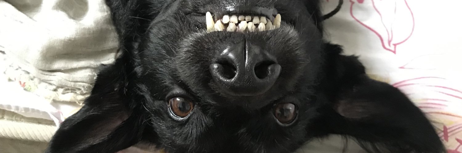 julhals's profile banner image