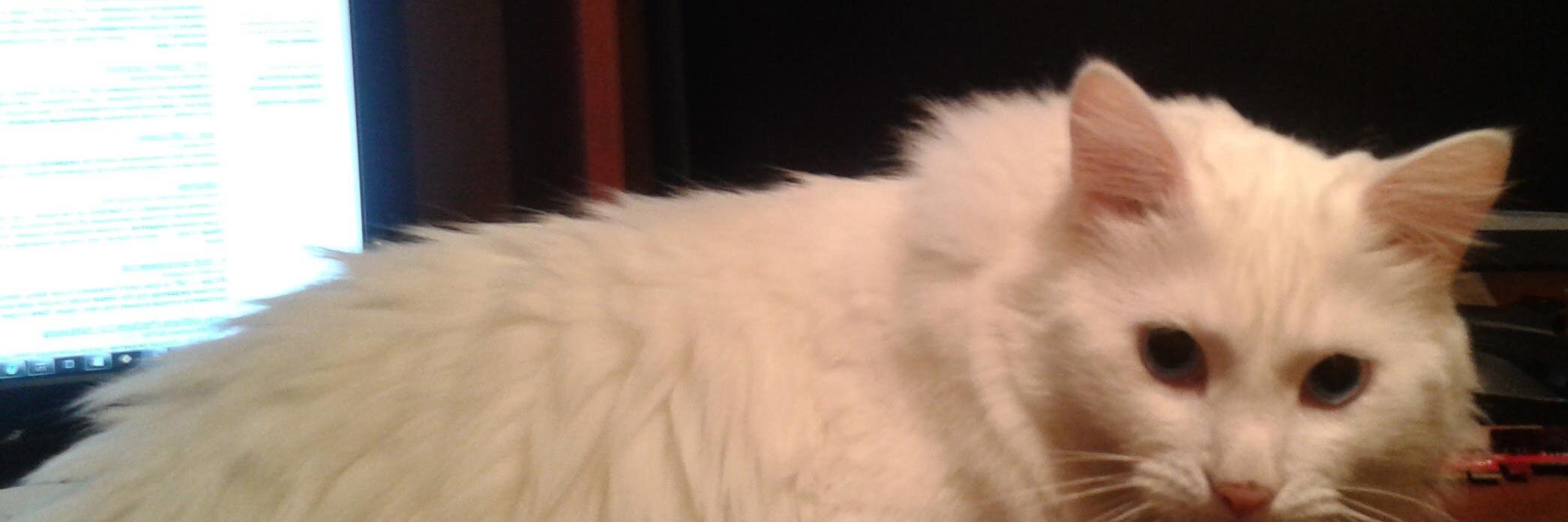 Dmitry Patsura banner