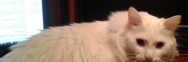 ovrweb Profile Banner