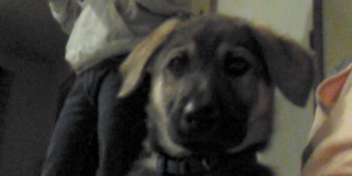 Tyler Dirschel banner