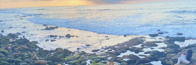 Torieee_2's profile banner image