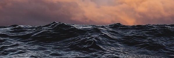 Pablo banner