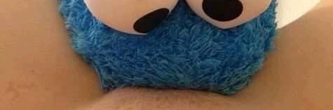 peterpdt's profile banner image