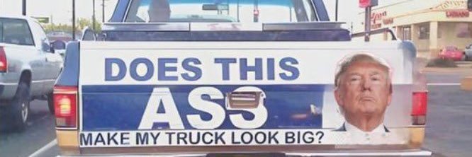 ElonDestroyedX  banner