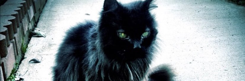 DeltaNach's profile banner image