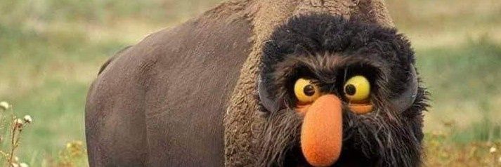Uncle_Flip's profile banner image