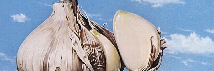 kbasko's profile banner image