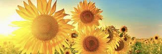 mrscrypto411's profile banner image