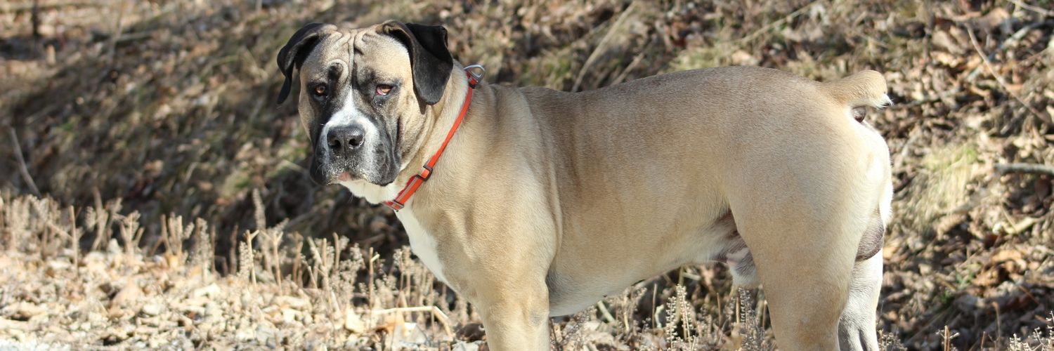 Grip it and Rip it banner