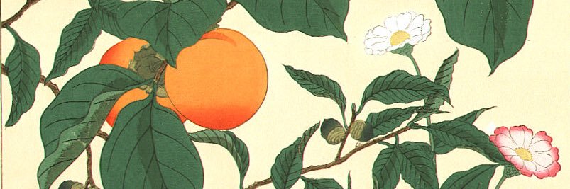amisamil's profile banner image